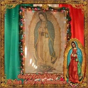 Meet your Posher, Celia